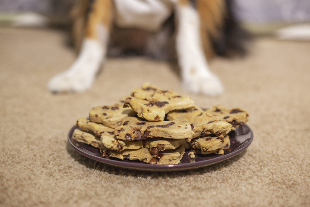 Carob Chocolate chip cookies for dogs made in tampa florida