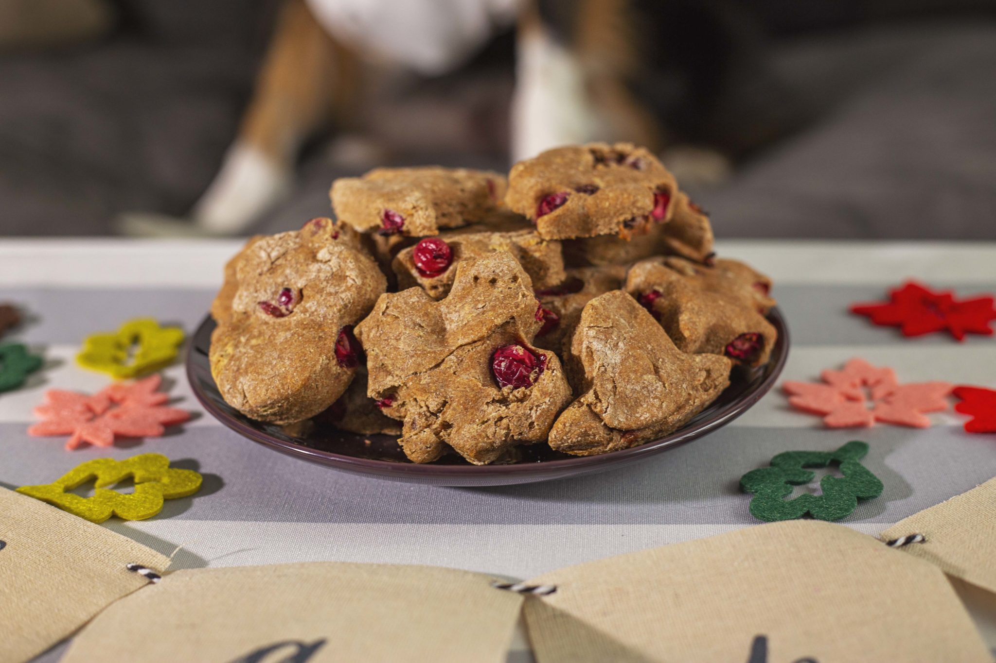 Turkey & Cranberry Barksgiving Treats Dog Treat Recipe