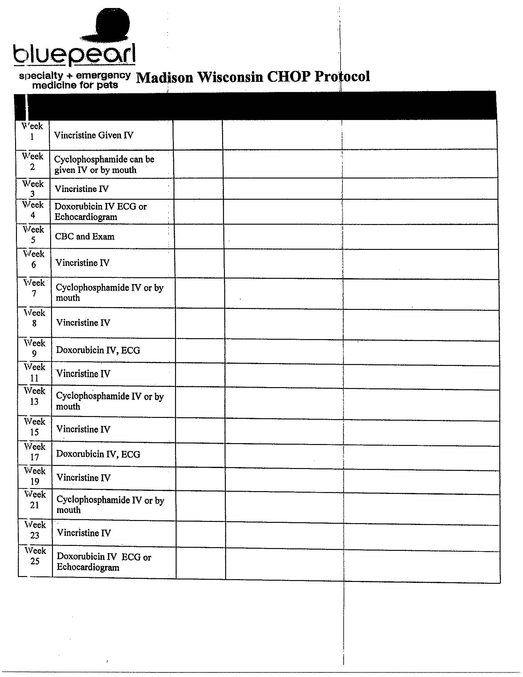 Lily's Lymphoma Treatment Protocol