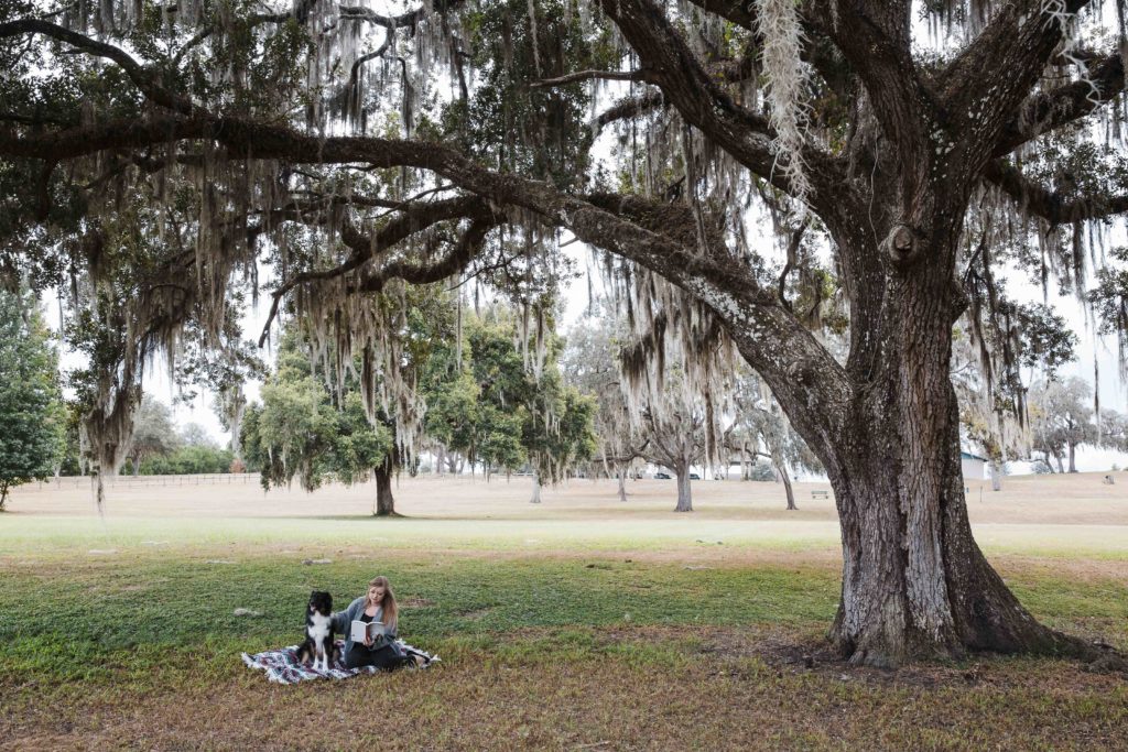 girl and dog read book on picnic blanket under a tree