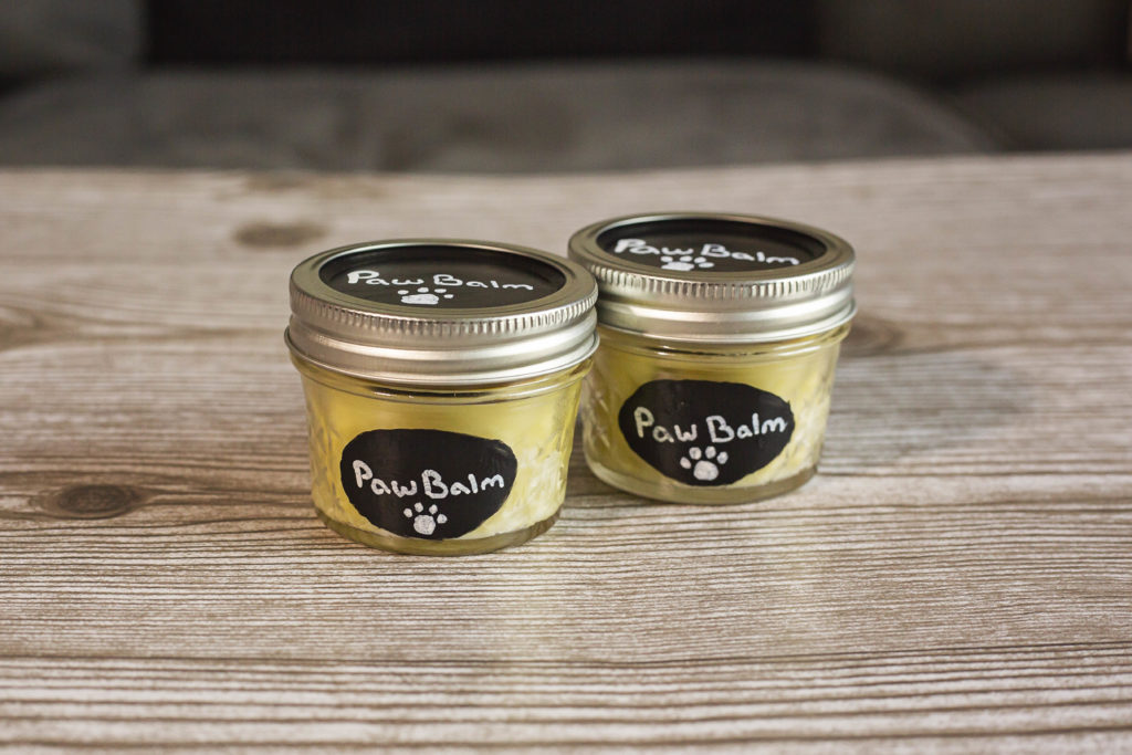 homemade paw balm for dogs jessica shaw photography