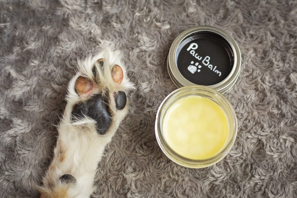 homemade paw balm for dogs jessica shaw photography