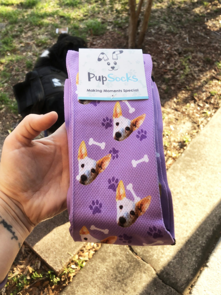 Pupsocks with dog face jessica shaw photography