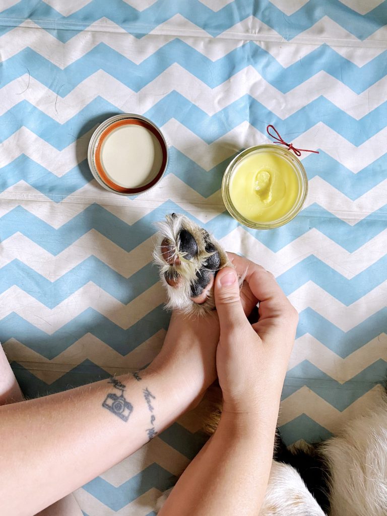 DIY dog paw wax with dog in background jessica shaw photography