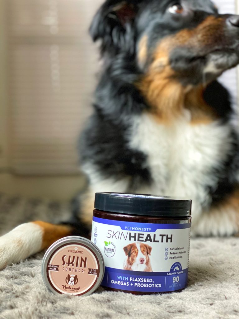 Dog sits with supplements and ointment for treating hot spots jessica shaw photography