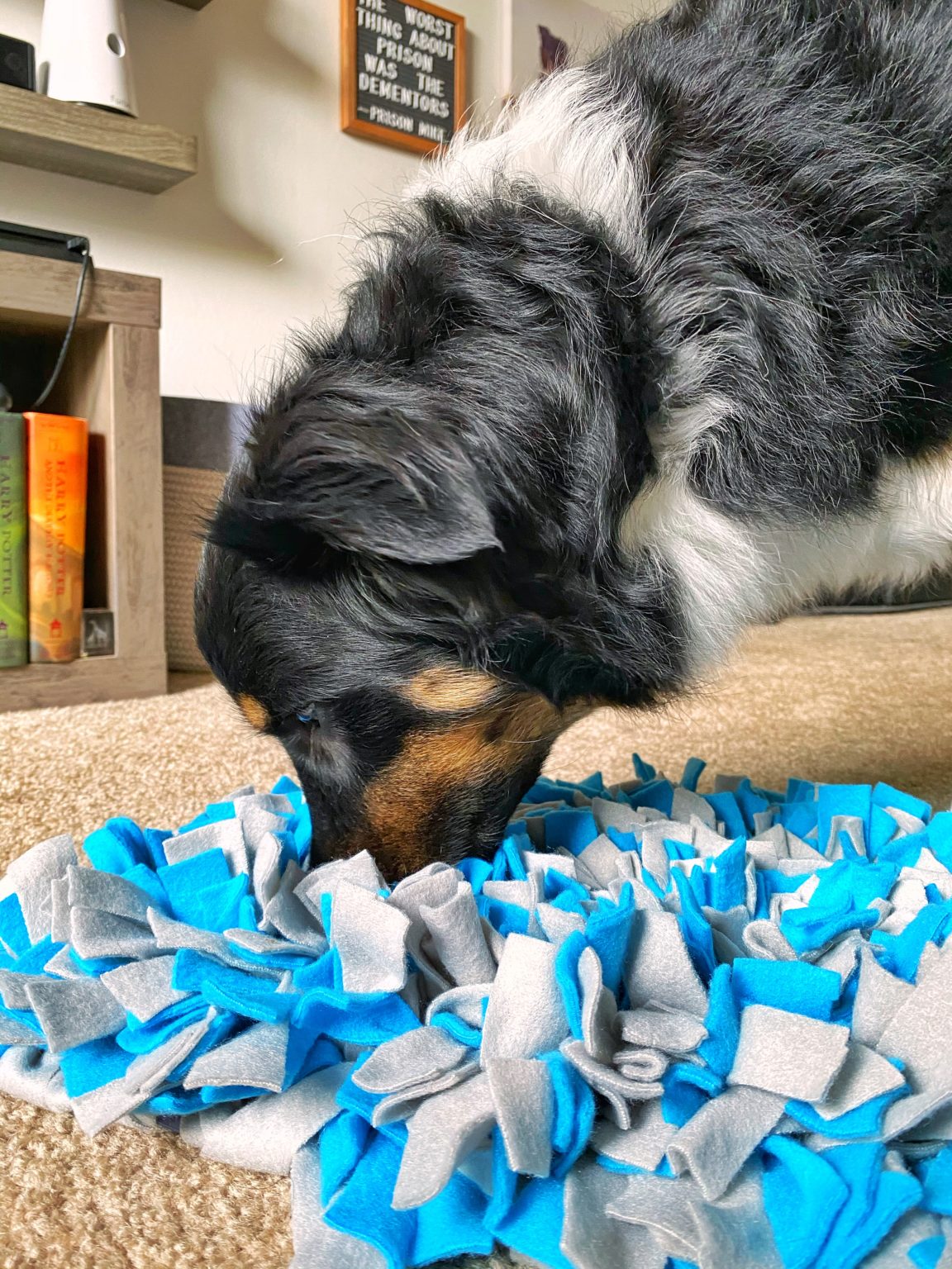 Crafty Time on Doggo Bloggo DIY Snuffle Ruffle Mat