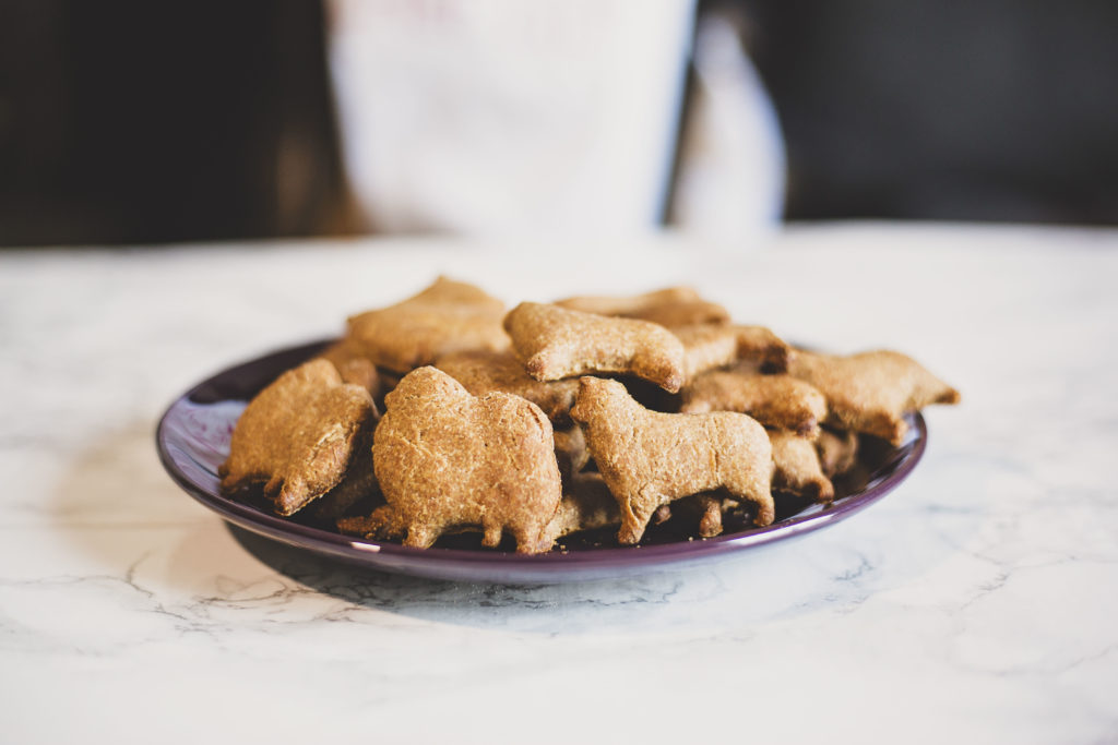 Plate of peanut butter Dog Treats jessica shaw photography